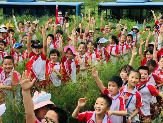 完善机制优化实践路径让生命教育在学校中稳稳扎根继续生长